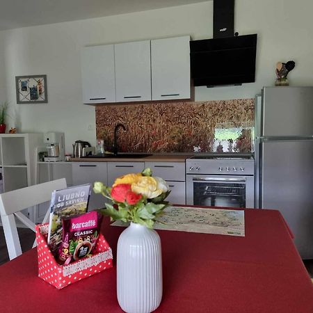 Apartmaji Ribic Ljubno Екстер'єр фото
