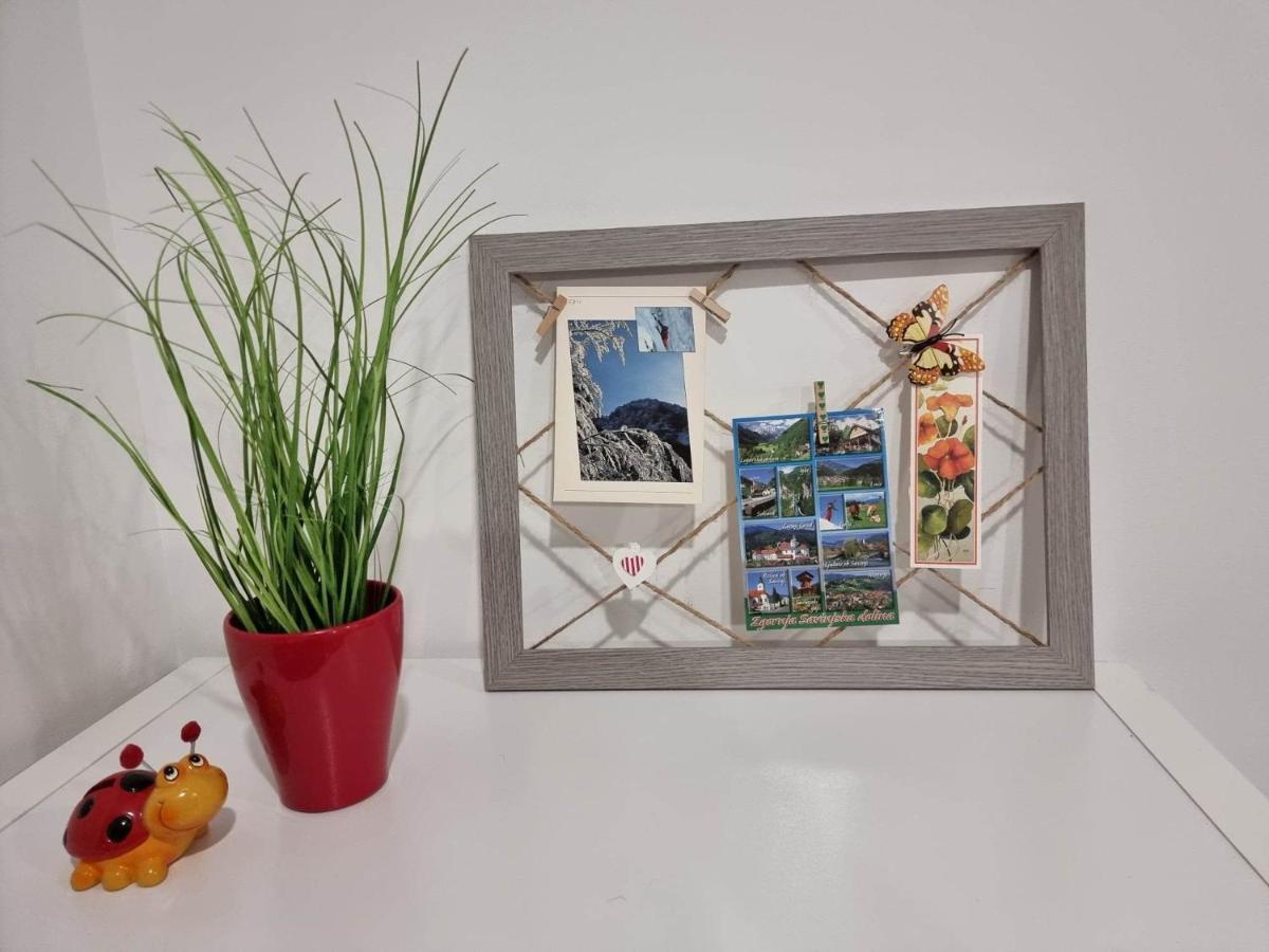 Apartmaji Ribic Ljubno Екстер'єр фото